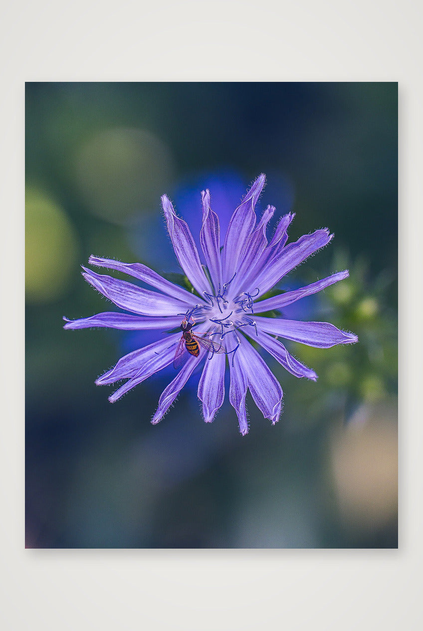 Photosque 8 — 28×35cm, 11×14" Print only