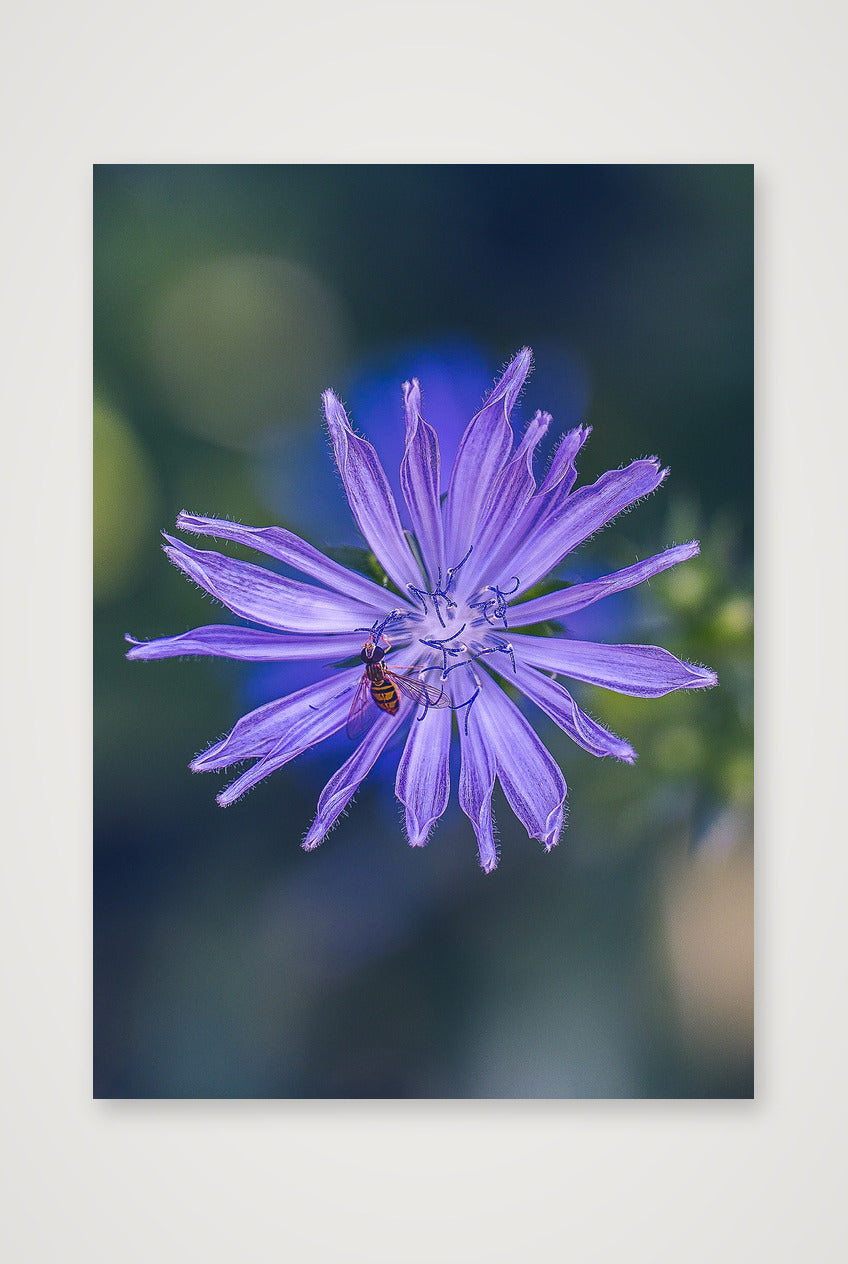 Photosque 8 — A4 (21×30cm, 8×12") Print only