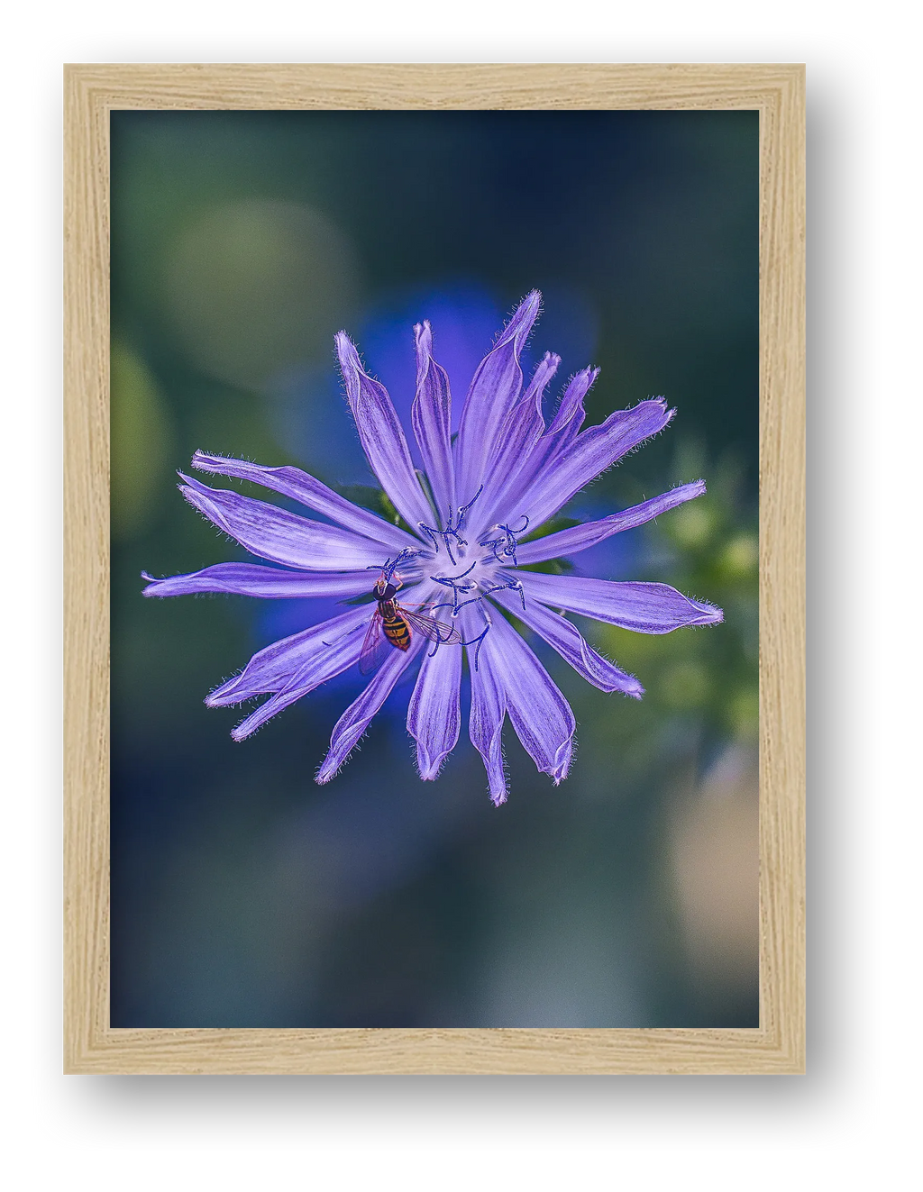 Photosque 8 — framed