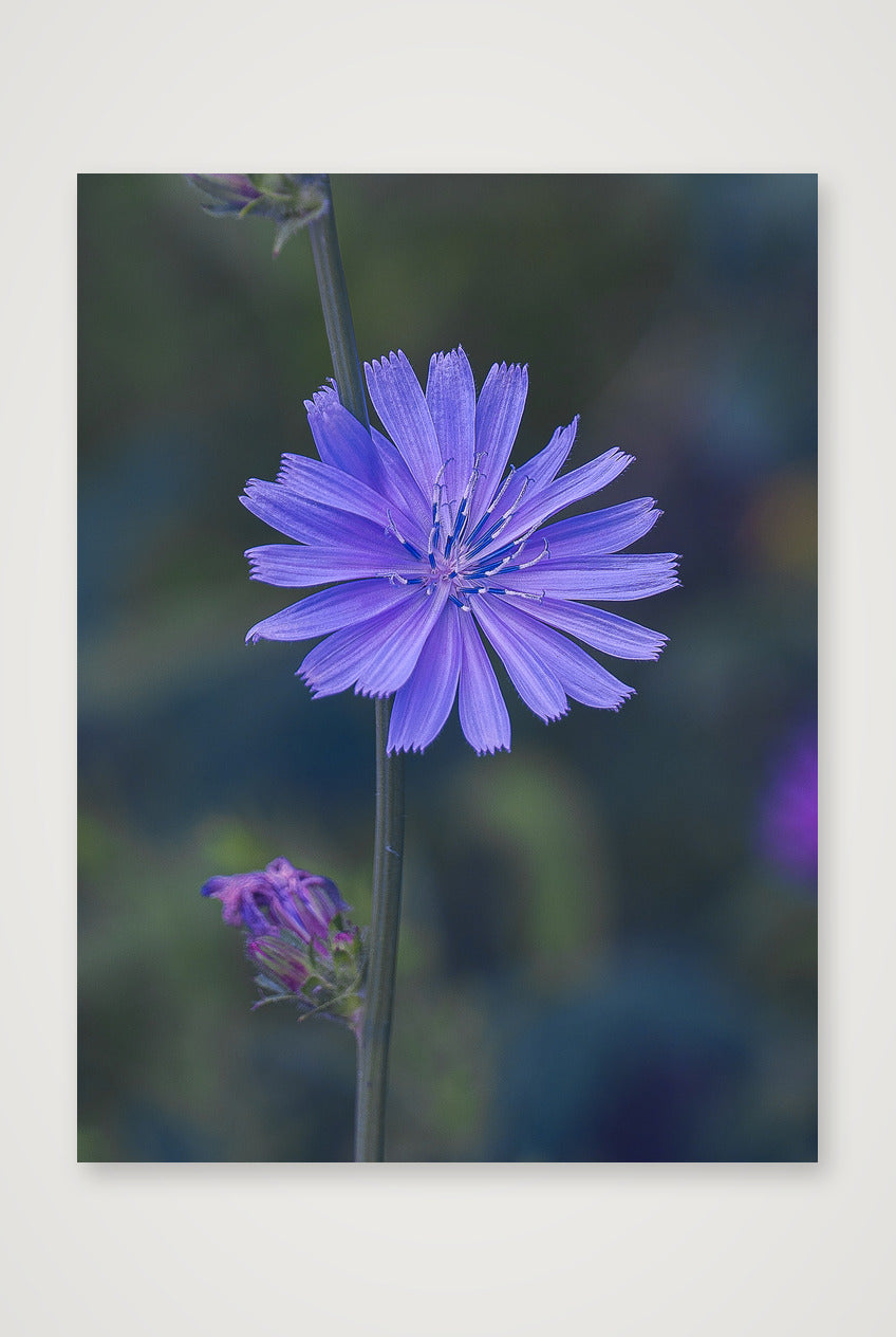 Photosque 2 — 60×80cm, 24×31" Print only