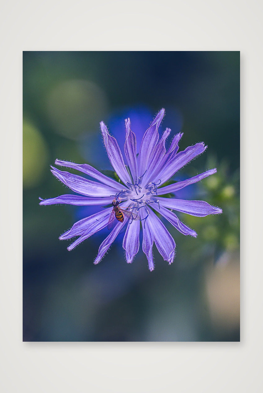 Photosque 8 — 60×80cm, 24×31" Print only