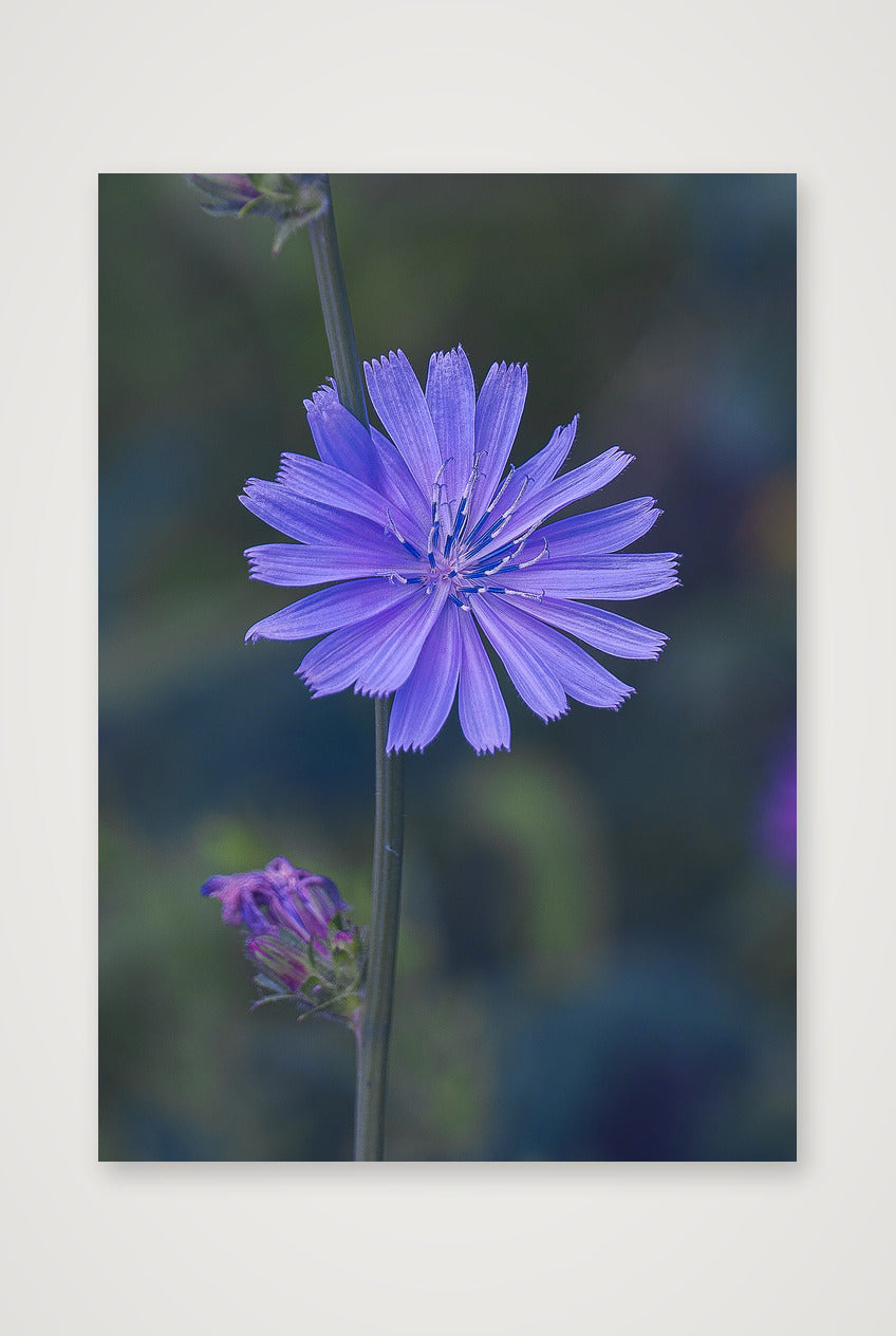 Photosque 2 — A4 (21×30cm, 8×12") Print only